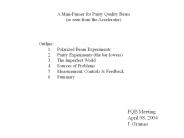 A MiniPrimer for Parity Quality Beam