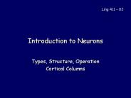 Introduction%20to%20Neurons