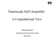Nanoscale Self-Assembly A Computational View