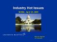Industry Hot Issues PowerPoint PPT Presentation