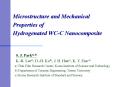 Microstructure and Mechanical Properties of Hydrogenated WC-C Nanocomposite PowerPoint PPT Presentation