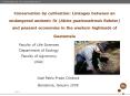 Conservation by cultivation: Linkages between an endangered endemic fir (Abies guatemalensis Rehder) and peasant economies in the western highlands of Guatemala PowerPoint PPT Presentation