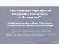 Macroeconomic implications of demographic changes PowerPoint PPT Presentation