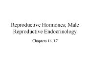 Reproductive Hormones; Male Reproductive Endocrinology