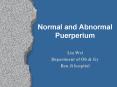 Normal and Abnormal Puerperium PowerPoint PPT Presentation