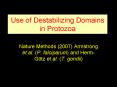 Use of Destabilizing Domains in Protozoa PowerPoint PPT Presentation