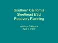 Southern California Steelhead ESU Recovery Planning Ventura, California April 5, 2007 PowerPoint PPT Presentation