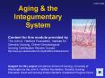 Aging PowerPoint PPT Presentation