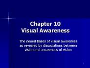 Chapter 10 Visual Awareness
