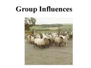 Group Influences