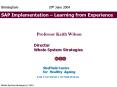 SAP Implementation Learning from Experience PowerPoint PPT Presentation