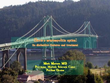 Devics neuromyelitis optica: its distinctive features and treatment