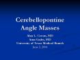 Cerebellopontine Angle Masses PowerPoint PPT Presentation