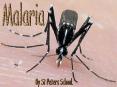Malaria PowerPoint PPT Presentation