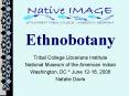 Ethnobotany PowerPoint PPT Presentation