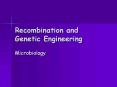 Recombination and Genetic Engineering PowerPoint PPT Presentation