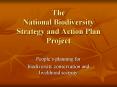 The National Biodiversity Strategy and Action Plan Project PowerPoint PPT Presentation