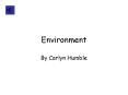 Environment PowerPoint PPT Presentation