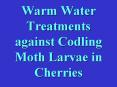 Warm Water Treatments against Codling Moth Larvae in Cherries PowerPoint PPT Presentation