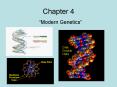 Modern Genetics PowerPoint PPT Presentation