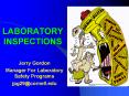 LABORATORY INSPECTIONS PowerPoint PPT Presentation