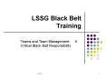 LSSG Black Belt Training PowerPoint PPT Presentation