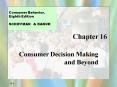 Consumer Decision Making and Beyond PowerPoint PPT Presentation