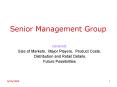 Senior Management Group PowerPoint PPT Presentation
