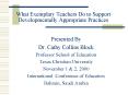 What Exemplary Teachers Do to Support Developmentally Appropriate Practices PowerPoint PPT Presentation