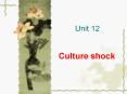 Culture shock PowerPoint PPT Presentation