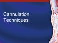Cannulation Techniques PowerPoint PPT Presentation