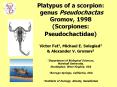 Platypus of a scorpion: PowerPoint PPT Presentation
