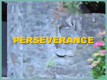 PERSEVERANCE