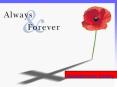 Remembrance Sunday PowerPoint PPT Presentation