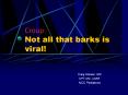 Croup: Not all that barks is viral! PowerPoint PPT Presentation