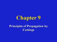 Principles of Propagation by Cuttings