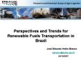 Perspectives and Trends for Renewable Fuels Transportation in Brazil PowerPoint PPT Presentation