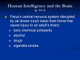 Human Intelligence and the Brain p. 2601 PowerPoint PPT Presentation