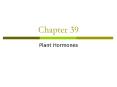Plant Hormones PowerPoint PPT Presentation