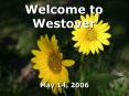 Welcome to Westover PowerPoint PPT Presentation