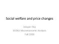 Social welfare and price changes PowerPoint PPT Presentation