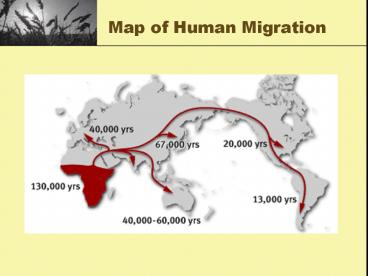 presentation player overlay