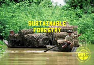 SUSTAINABLE FORESTRY