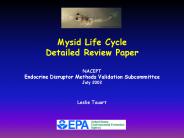 Overview of Aquatic Case Study