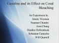Gasoline and its Effect on Coral Bleaching PowerPoint PPT Presentation