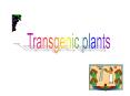 Transgenic plants PowerPoint PPT Presentation