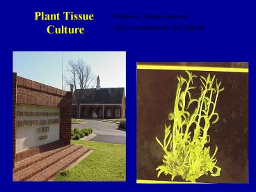 Plant Tissue Culture