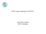 DESY superconducting SASE FEL
