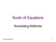 Roots of Equations
