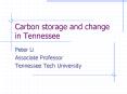 Carbon storage and change in Tennessee PowerPoint PPT Presentation